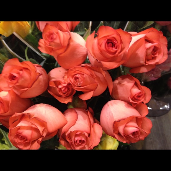 Meet your Posher, Jennifer - Picture 2 of 5